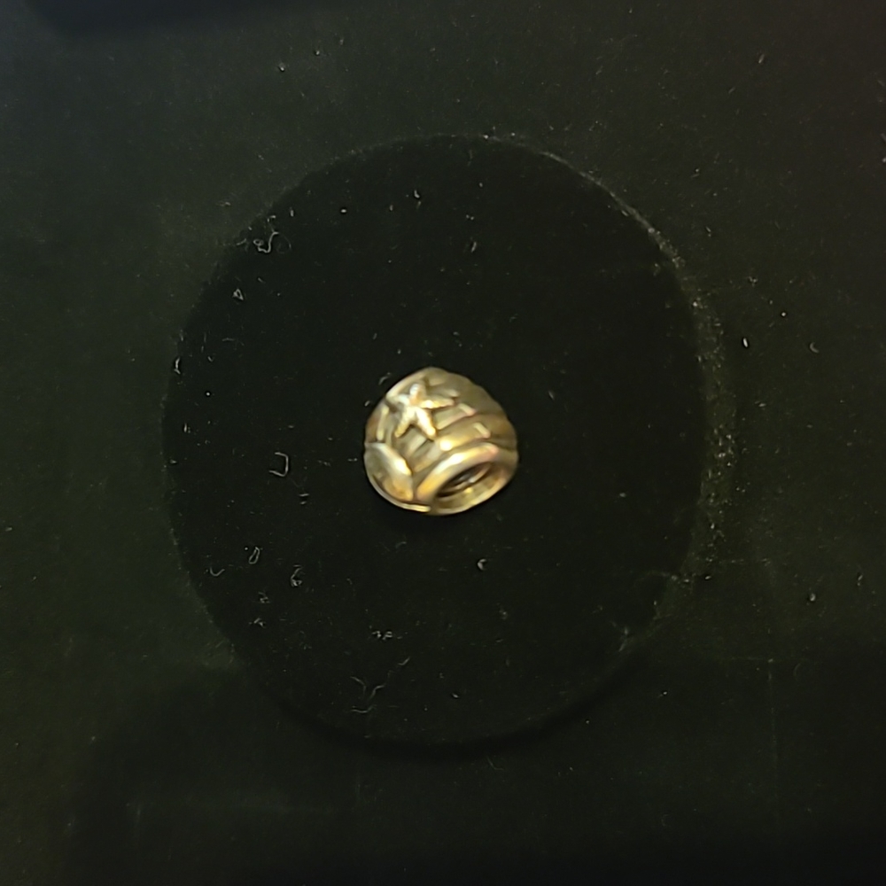 Pandora Shell Authentic Ale 925 Silver - image 2